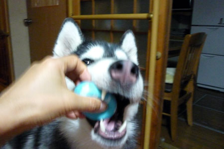 130527_01.jpg
