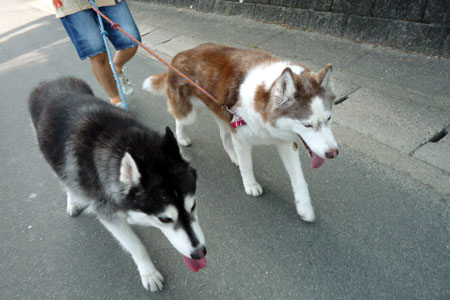 130528_02.jpg