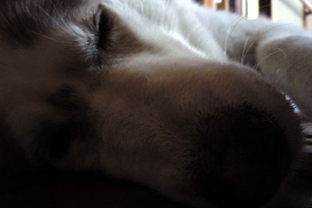 130622_03.jpg