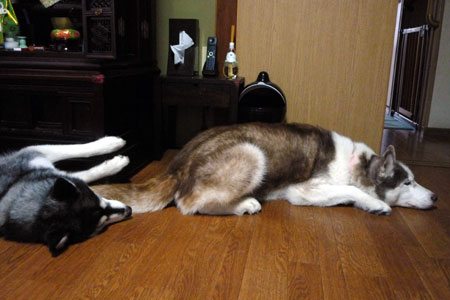 130706_03.jpg