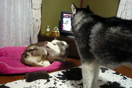 140203_01.jpg