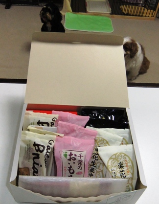 DSCF3841.jpg