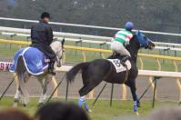 20110220C12D90.jpg