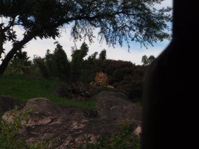 P9240139.jpg