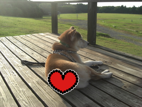 MrXyO0U8glTUgNr1410908453_1410908621.png