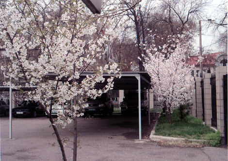 37651279_1429489977_175large.jpg
