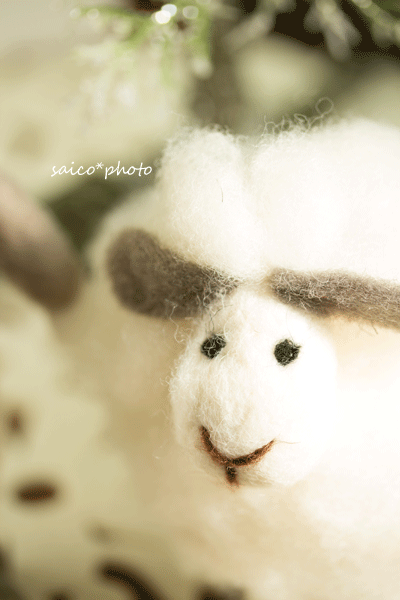 IMG_1095.gif