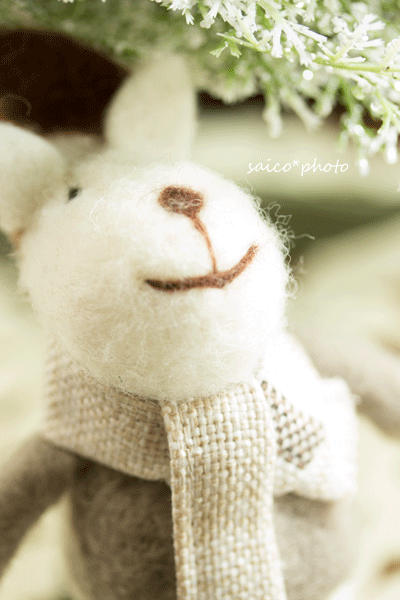IMG_1101p.gif