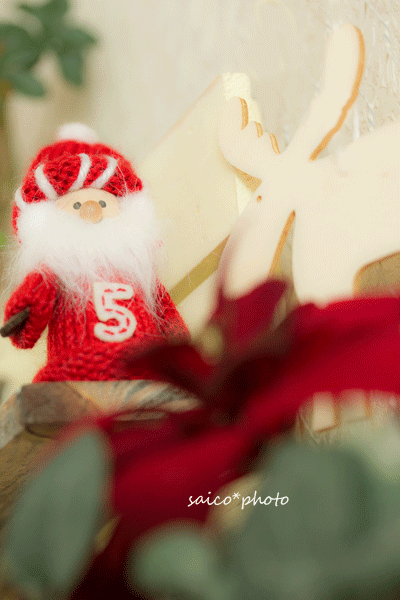 IMG_1120a.gif