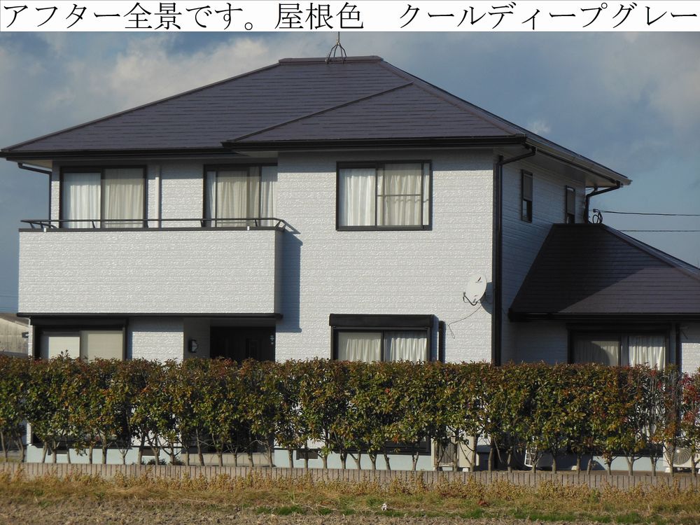 DSCN2426web.jpg