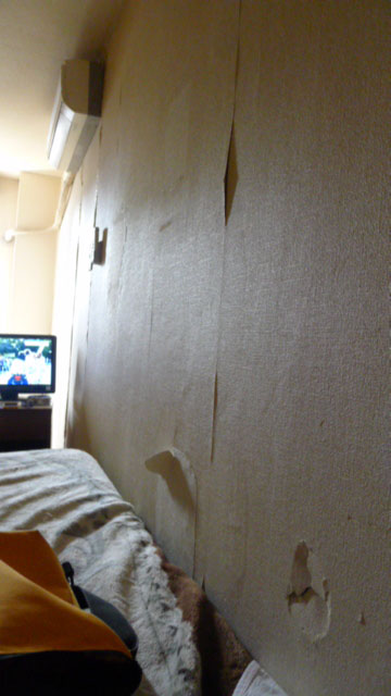 P1060615_.jpg