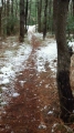 20150215_MTB02