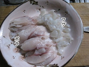 ボラとフグの刺身