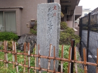 拡大する