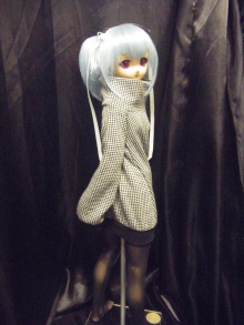 SKIBOARDとetc・・・