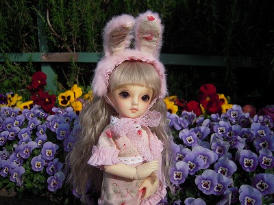 DSCN3432.jpg