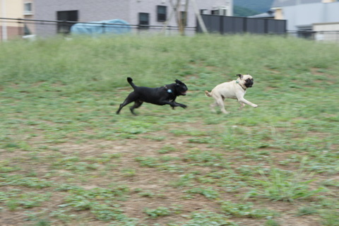 DSC02949.jpg