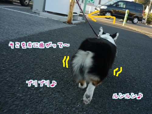 5otU8RD8nd0GC8f1412674881_1412675084.jpg
