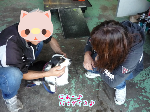 FO5wfvicox9WkTP1412675694_1412675849.png