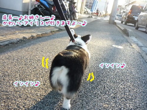PaEvgdoNugk4JBY1412675128_1412675526.jpg