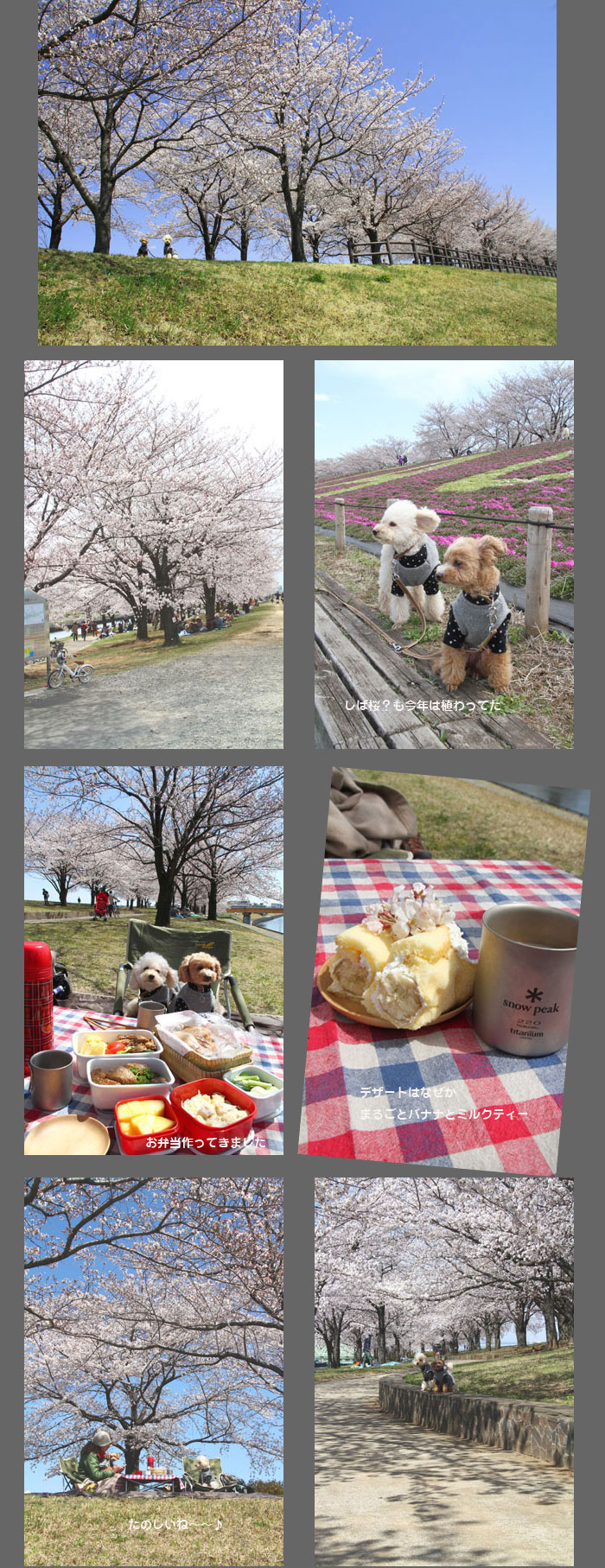 kitahanami2012h1.jpg