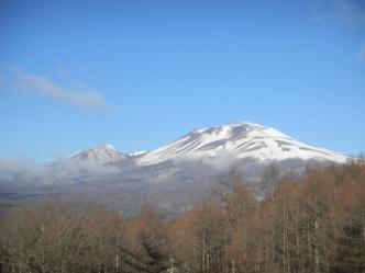DSCN7807.jpg