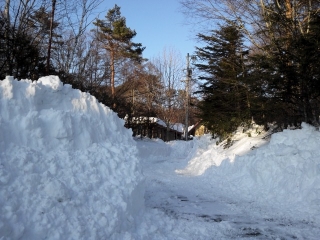 NCM_5697.jpg