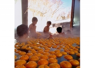 daidaiyu.jpg