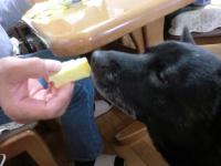 ケンカステラ