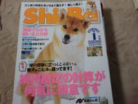 シー場