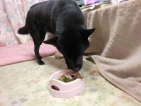 いただきます