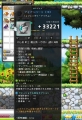 アイアン