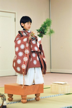 view1709520.jpg