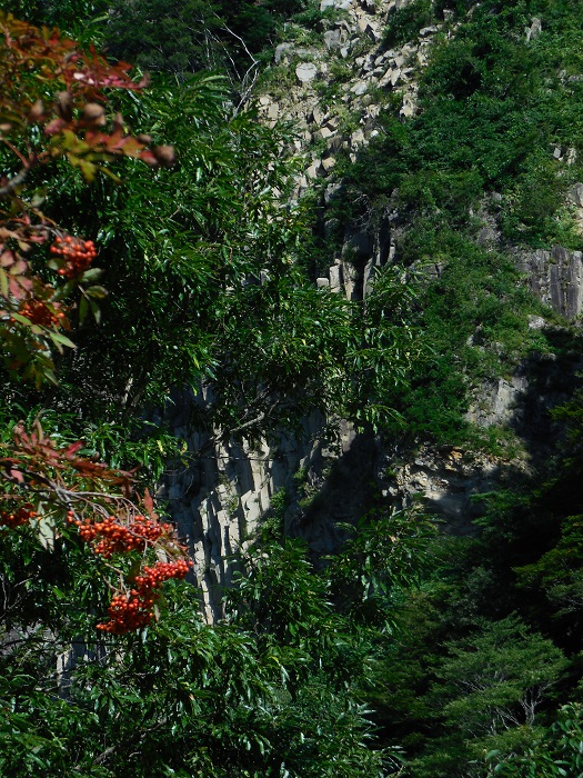 DSCN5702-700.jpg