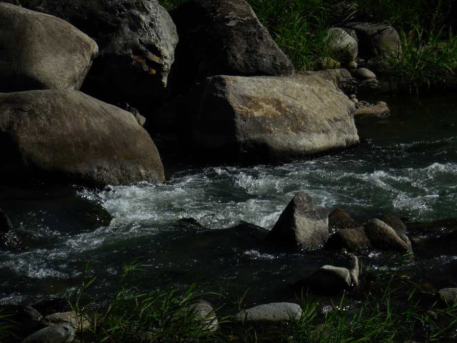 DSCN5708-700.jpg