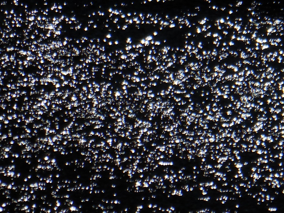 DSCN5717-700.jpg