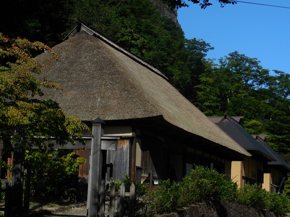 DSCN5726-700.jpg