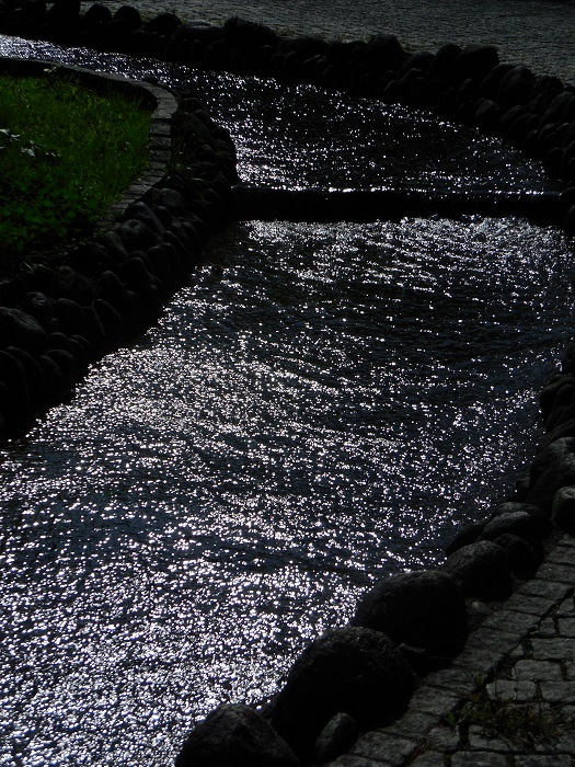 DSCN5727-700.jpg