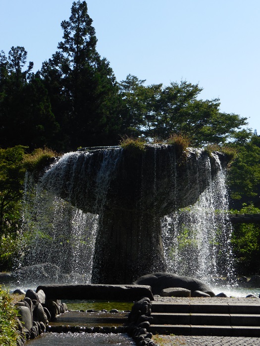DSCN5729-700.jpg