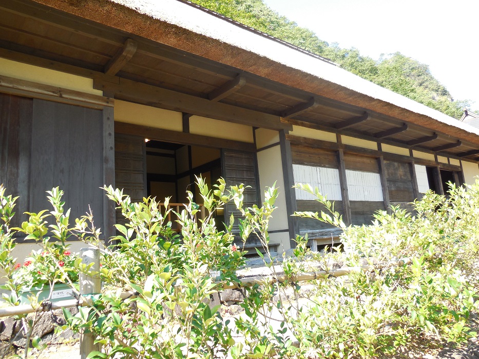 DSCN5751-700.jpg