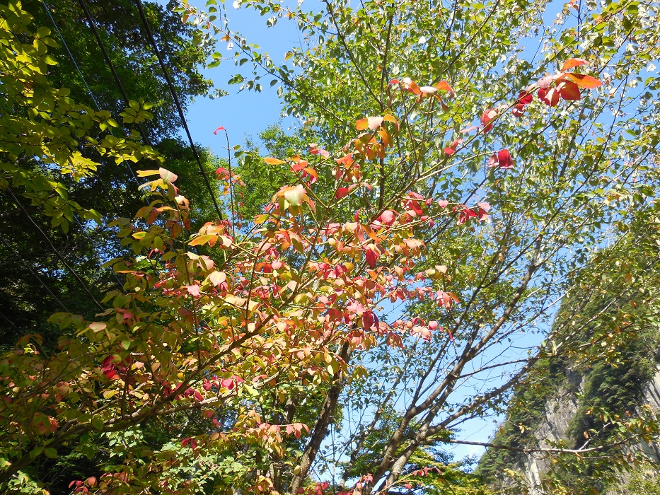 DSCN5755-700.jpg