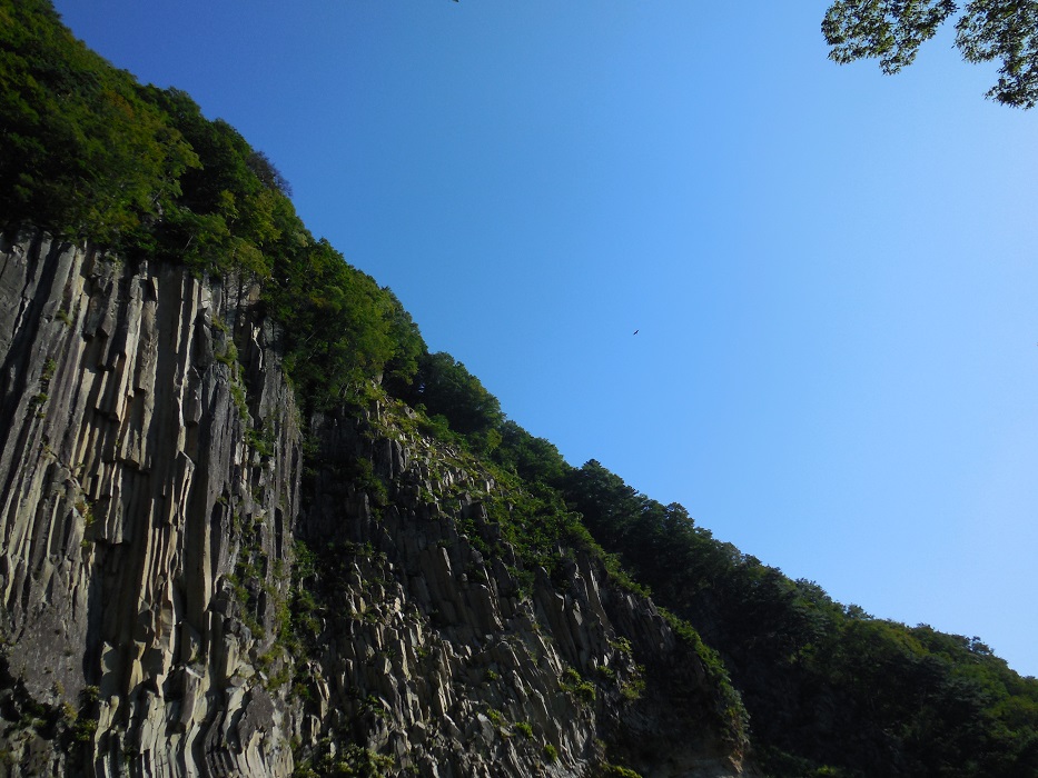 DSCN5764-700.jpg