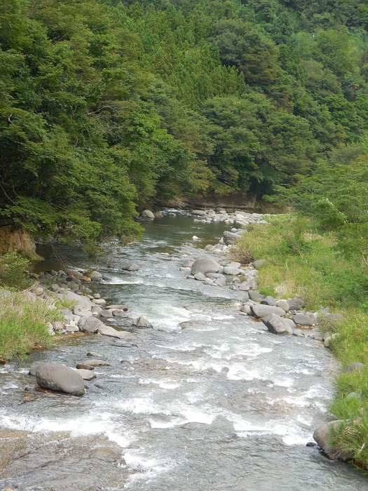 DSCN5842-700.jpg