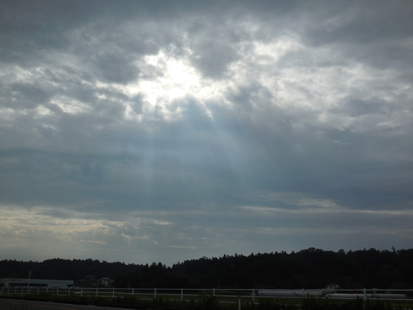 DSCN6696-1000.jpg