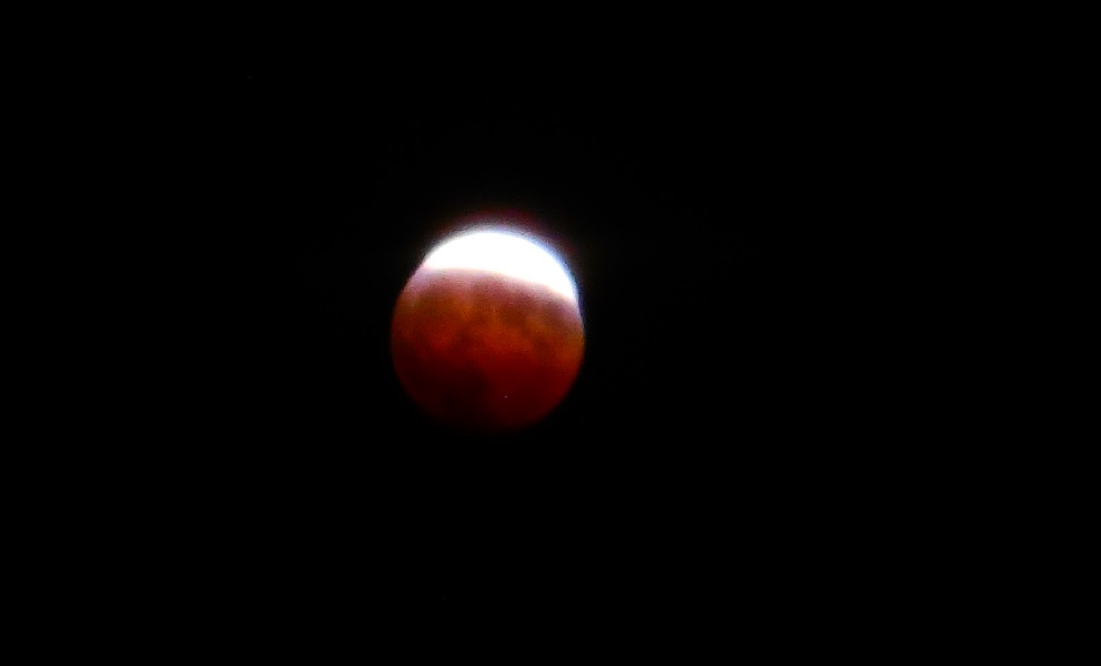 DSCN7232-600.jpg