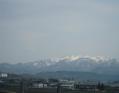 IMG_1058-1.jpg