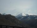 IMG_1081-1.jpg