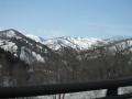 IMG_1090-1.jpg