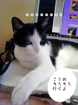 NEC_0266.jpg