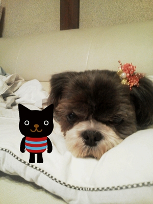 camera_20111230181306.jpg